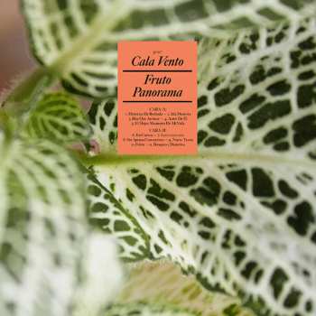 Album Cala Vento: Fruto Panorama