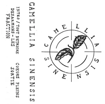 Camellia Sinensis: Demo 2023