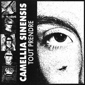 Camellia Sinensis: Tout Prendre