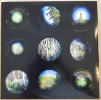 LP Campos: Umani, Vento E Piante