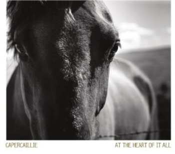 CD Capercaillie: At The Heart Of It All DIGI
