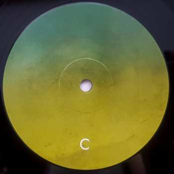 2LP Carbon Based Lifeforms: Twentythree