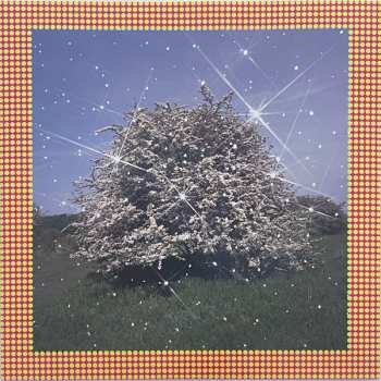 LP Caribou: Honey CLR | LTD