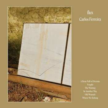 Album Carlos Ferreira: Flux
