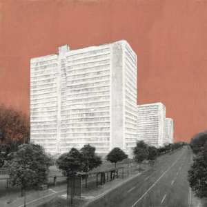 Album Carpet: About Rooms And Elephants