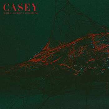 CD Casey: Where I Go When I Am Sleeping DIGI