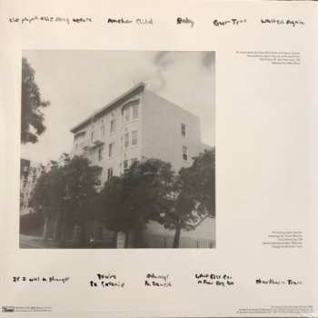 LP Cass McCombs: Seed Cake On Leap Year