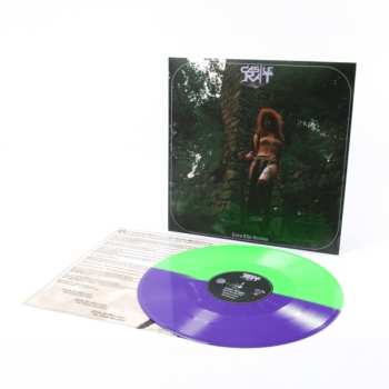 LP Castle Rat: Into The Realm (purple & Green Vinyl)