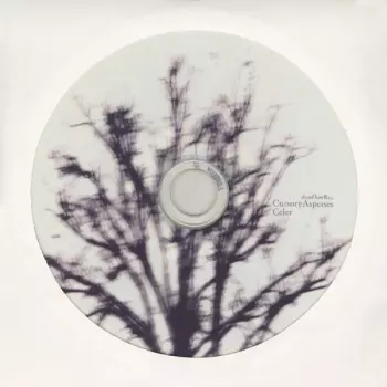 Celer: Cursory Asperses