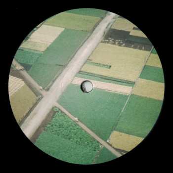 LP Celer: Perfectly Beneath Us