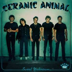 CD Ceramic Animal: Sweet Unknown