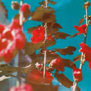 CD Chad Lawson: Breathe