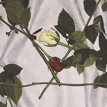 LP Chain Of Flowers: Chain Of Flowers CLR