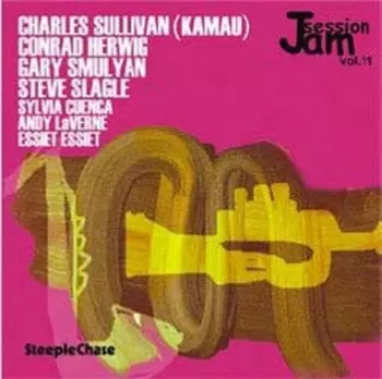 Steve Slagle: Jam Session Vol. 11