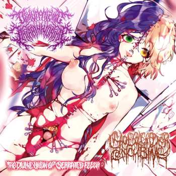 Album Cheerleader Concubine: The Divine Union Of Serrated Flesh