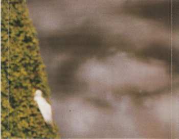 CD Cher: Living Proof