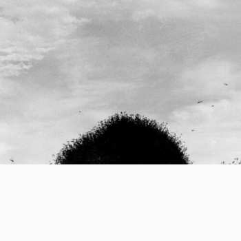 Album Chihei Hatakeyama: Forgotten Hill