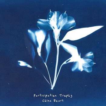 LP China Bears: Participation Trophy Ltd.