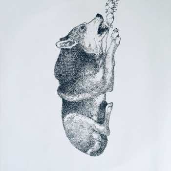 LP Chocolate Genius: Truth vs Beauty CLR