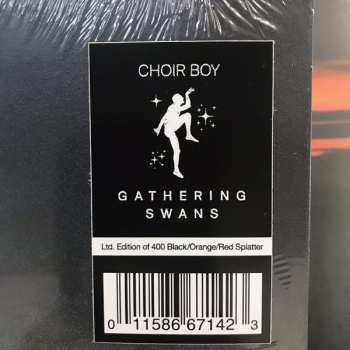 LP Choir Boy: Gathering Swans LTD | CLR