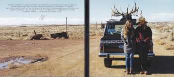 CD Chris Stapleton: Traveller