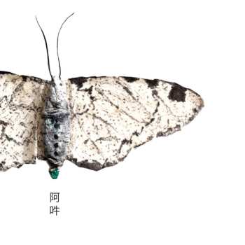 Album Fennesz: AUN – The Beginning And The End Of All Things