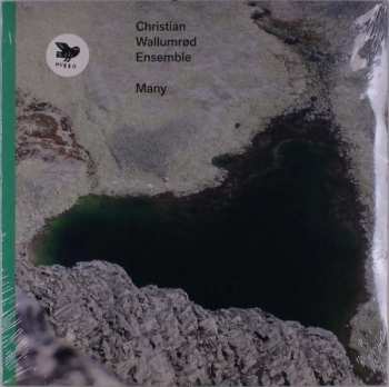 Album Christian Wallumrød Ensemble: Many