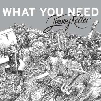 CD Christoph "Jimmy" Reiter: What You Need