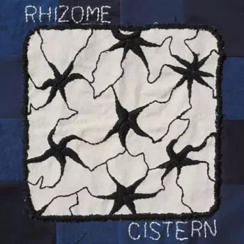 Rhizome