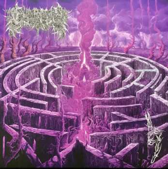 LP Civerous: Maze Envy CLR | LTD