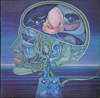 LP Clearlight: Clear Light Symphony