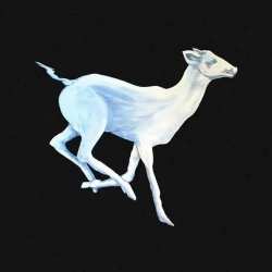 CD Cloud Cafe: Gift Horse