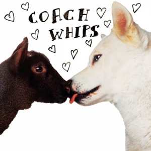 Album Coachwhips: Bangers Vs. Fuckers