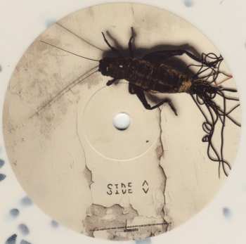 LP Code Orange: The Above CLR
