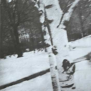 LP Codeine: The White Birch LTD | CLR