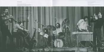 LP Cohelmec Ensemble: Hippotigris Zebrazebra DLX