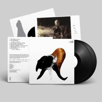 2LP Coil: Black Antlers LTD