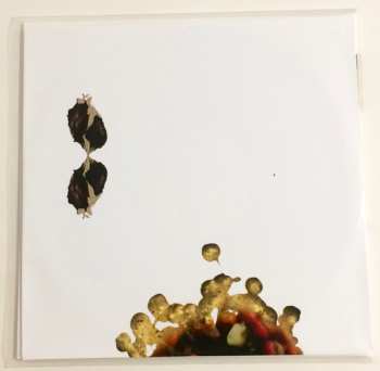 2LP Coil: The Ape Of Naples