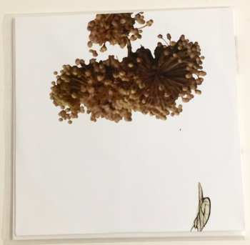 2LP Coil: The Ape Of Naples