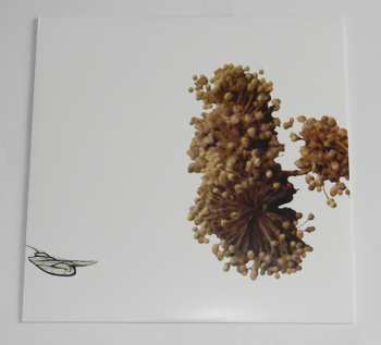 3LP Coil: The Ape Of Naples / The New Backwards LTD