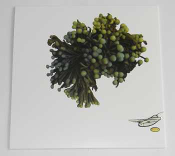 3LP Coil: The Ape Of Naples / The New Backwards LTD