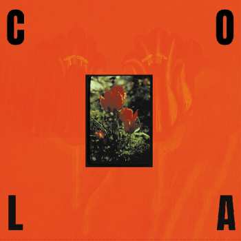 LP Cola: Gloss