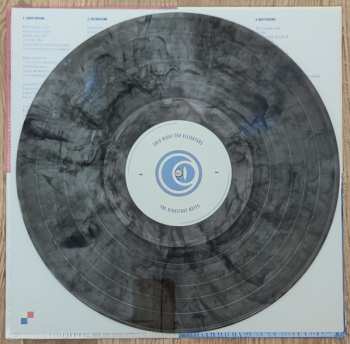 LP Cold Night For Alligators: The Hindsight Notes LTD | CLR