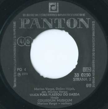 SP Collegium Musicum: Hommage À J. S. Bach / Ulica Plná Plášťov Do Dažďa