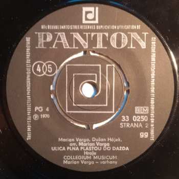 SP Collegium Musicum: Hommage À J. S. Bach / Ulica Plná Plášťov Do Dažďa