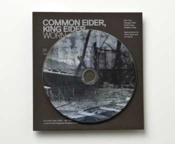 Album Common Eider, King Eider: Worn