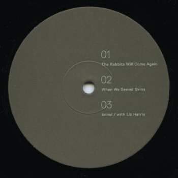 LP Common Eider, King Eider: Worn