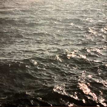 LP Constant Smiles: Moonflowers CLR | LTD