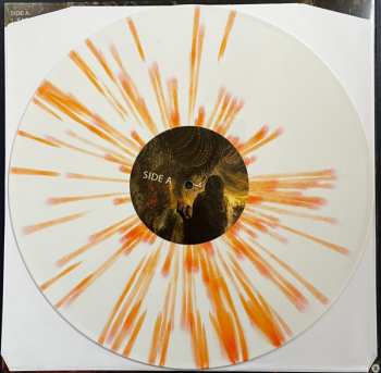 LP Contrarian: Sage of Shekhinah CLR | LTD