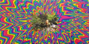 2LP Cosmo: La Terza Estate Dell'Amore CLR